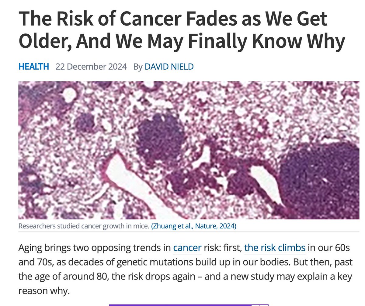 Cancer risk drops after 80 thanks to NUPR1 study