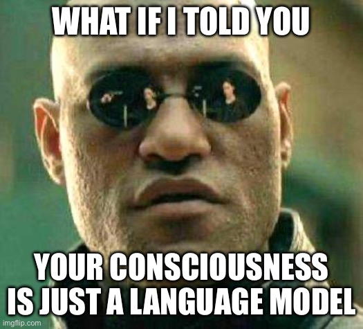 Do We Know What Consciousness Is or If AI Can Be It