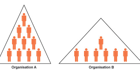 Why Flat Organizations Are More Productive