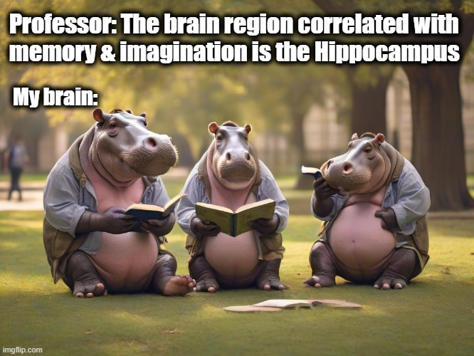 How Repetition Shapes Learning From Hippocampus to Cortex