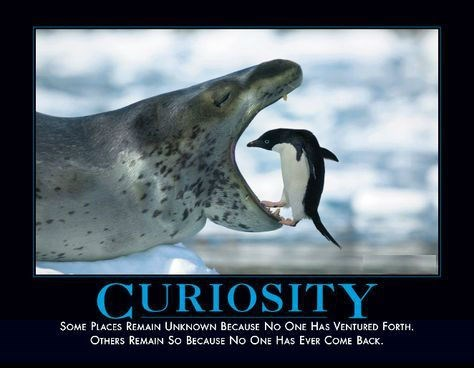 Real AI Progress Starts With Curiosity, Not Mandates