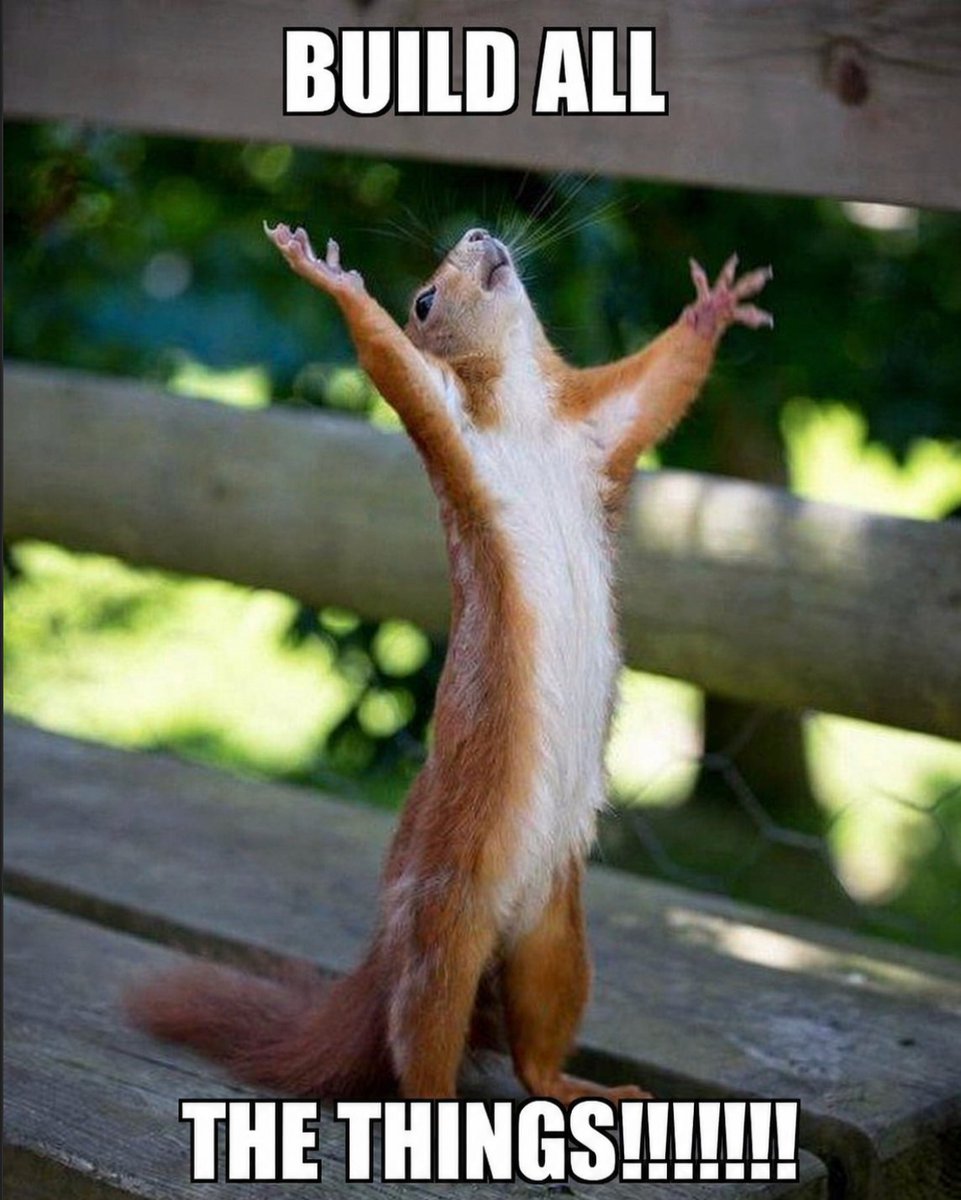 A joyful squirrel stands with its arms raised, exclaiming enthusiasm to "build all the things" in a lush, green setting.