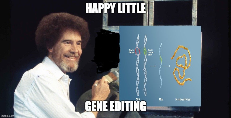 Fix this gene