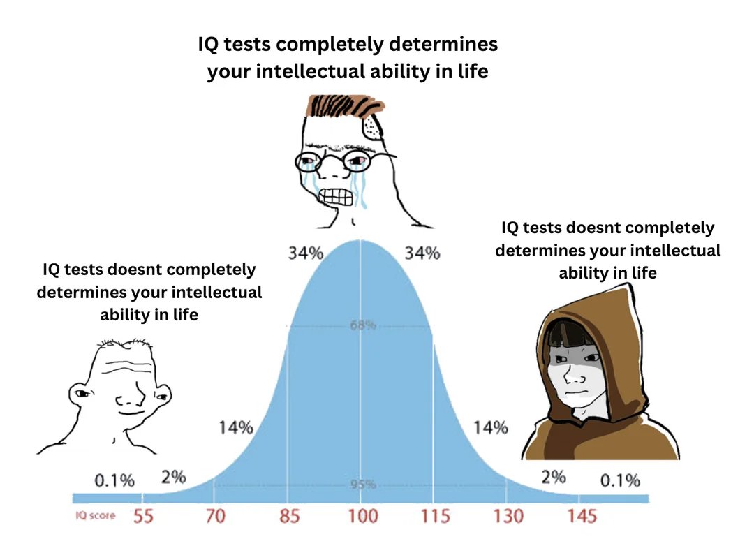 Why IQ Is a Misleading Benchmark for AI