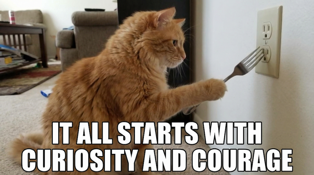 Curious cat meme showing a cat about to plug a fork into an electrical socket